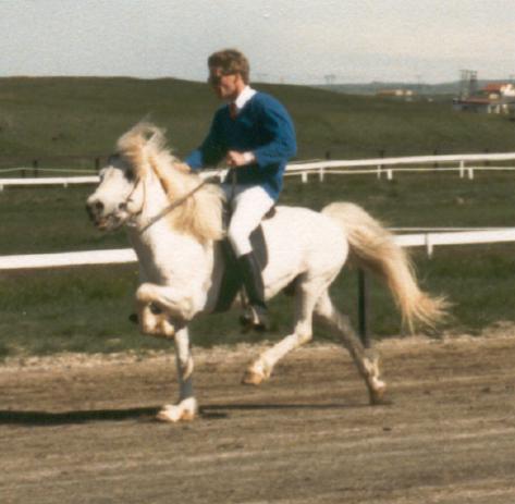 Gáski ved LM 1986