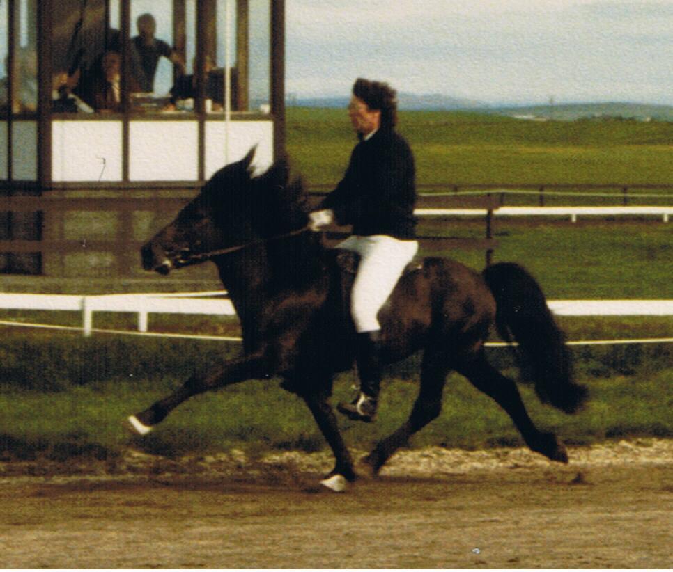 Adam ved Landsmt 1986, redet af Erlingur Sigursson