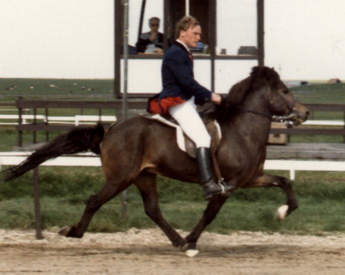 Flosi 966 frá Brunnum redet af Einar Öder Magnusson.