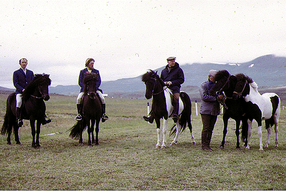 Síða med afkom ved Landsmót 1974. Billede udlånt fra www.hervar.com