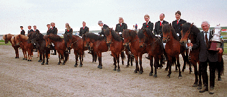 Þokki vinder Sleipnir pokalen ved LM 1994