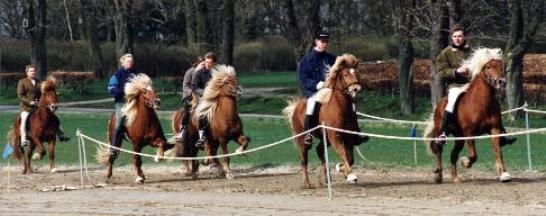 Fra Darris afkomskring i 1995.