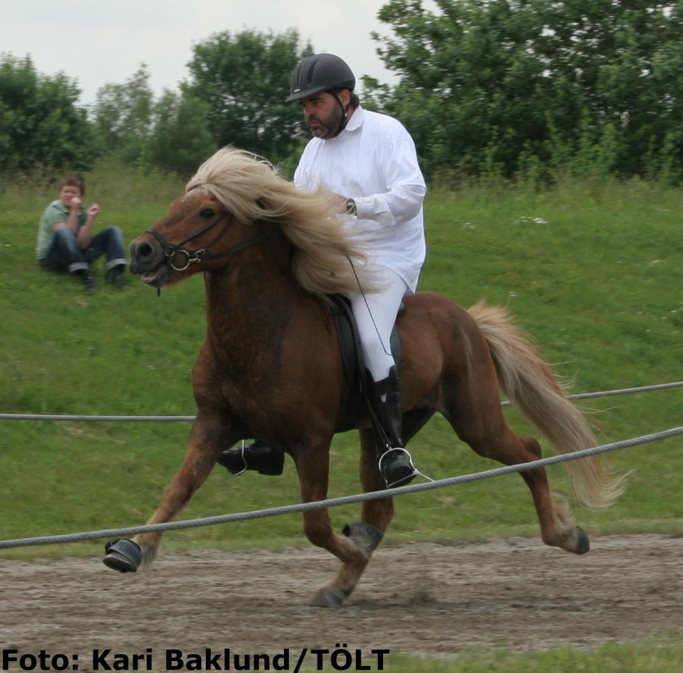 Darri 26 år gammel ved sin afkomskåring på Hedeland i juni 2007 redet af Rolf Olsen