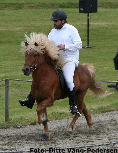 Darri 26 år gammel ved sin afkomskåring på Hedeland i juni 2007 redet af Rolf Olsen