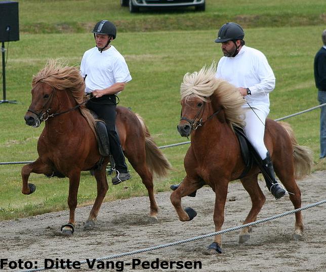 Fra Darri´s afkomskåring i juni 2007