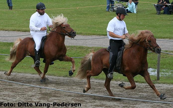 Fra Darri´s afkomskåring i juni 2007