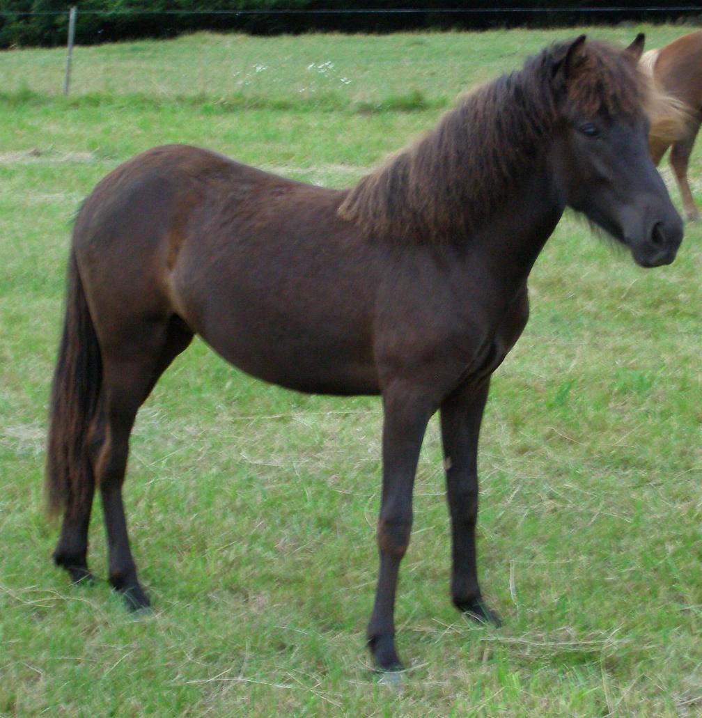 Bryndís, 1 år gammel