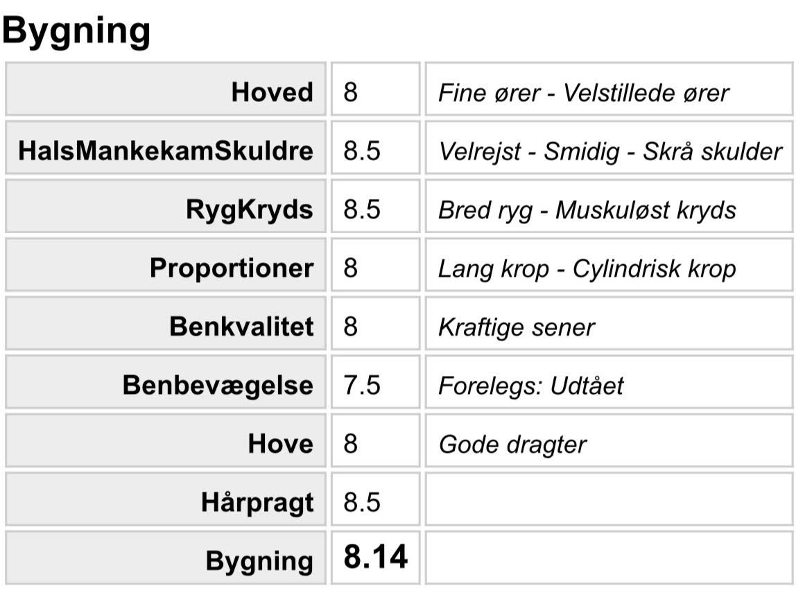 bygning