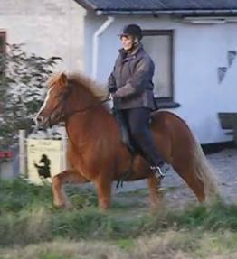 Snekkja, som 4 ring netop startet med tlttrning, rytter Carina Hansen