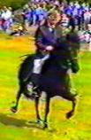 V 5 r gammel ved Fjrungsmt 1988, redet af sin avler Olla i Njab. Billedet er taget ud af et gammelt VHS videobnd.