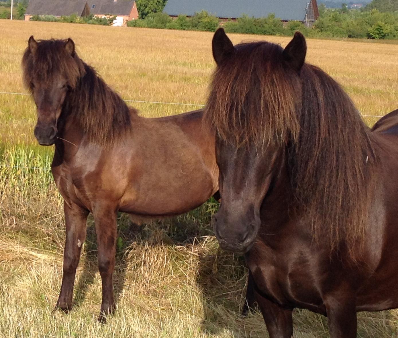Valds (th.) i juli 2014 sammen med sin 1-rige datter Lokkads.
