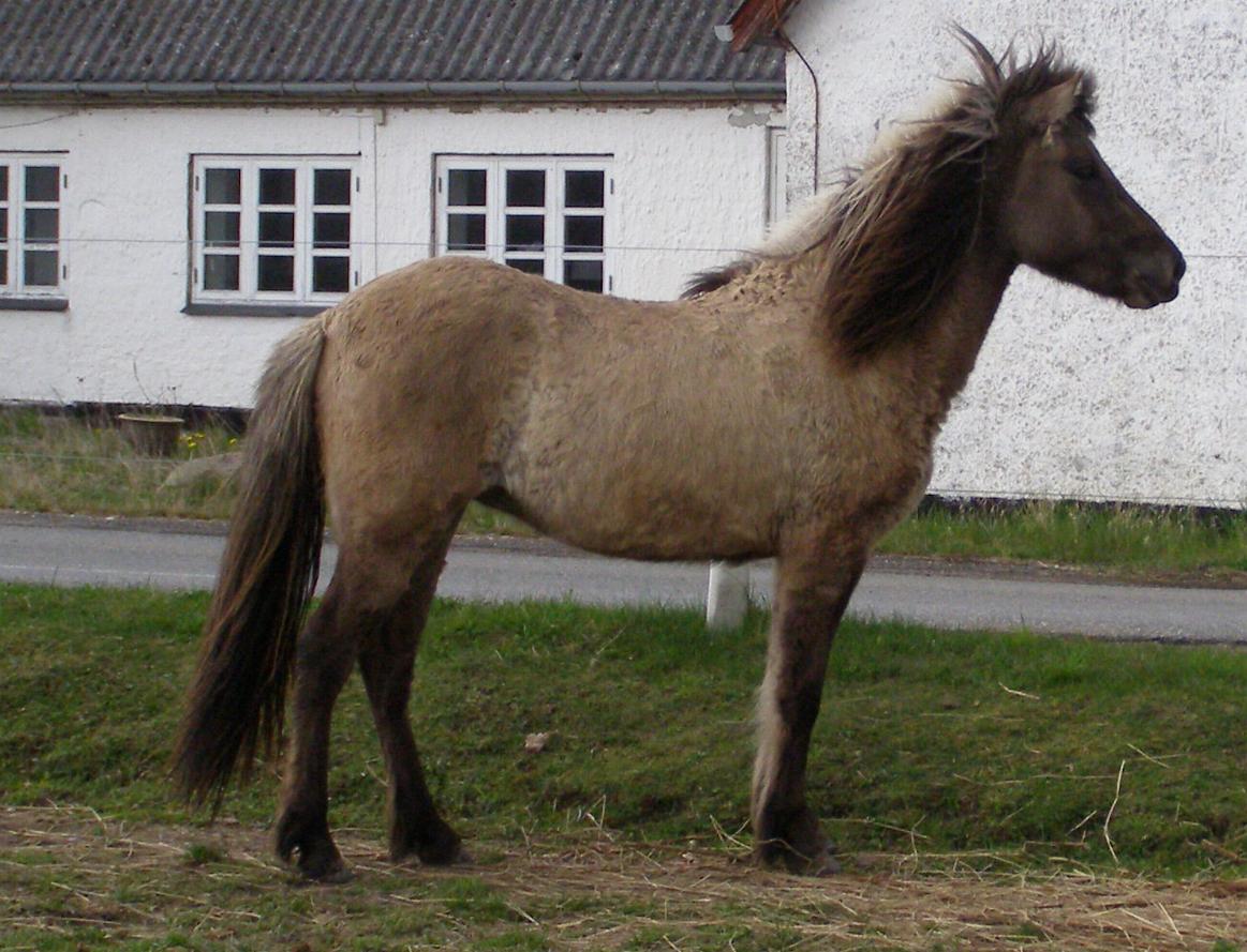 Álfhildur 2 år gammel, april 2012