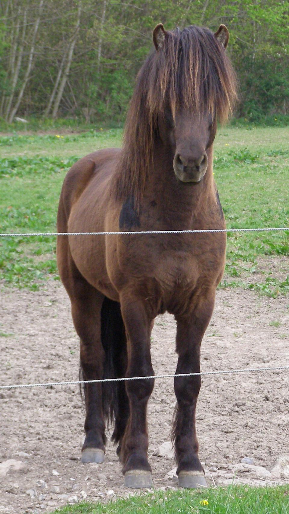 Blær, primo maj 2012