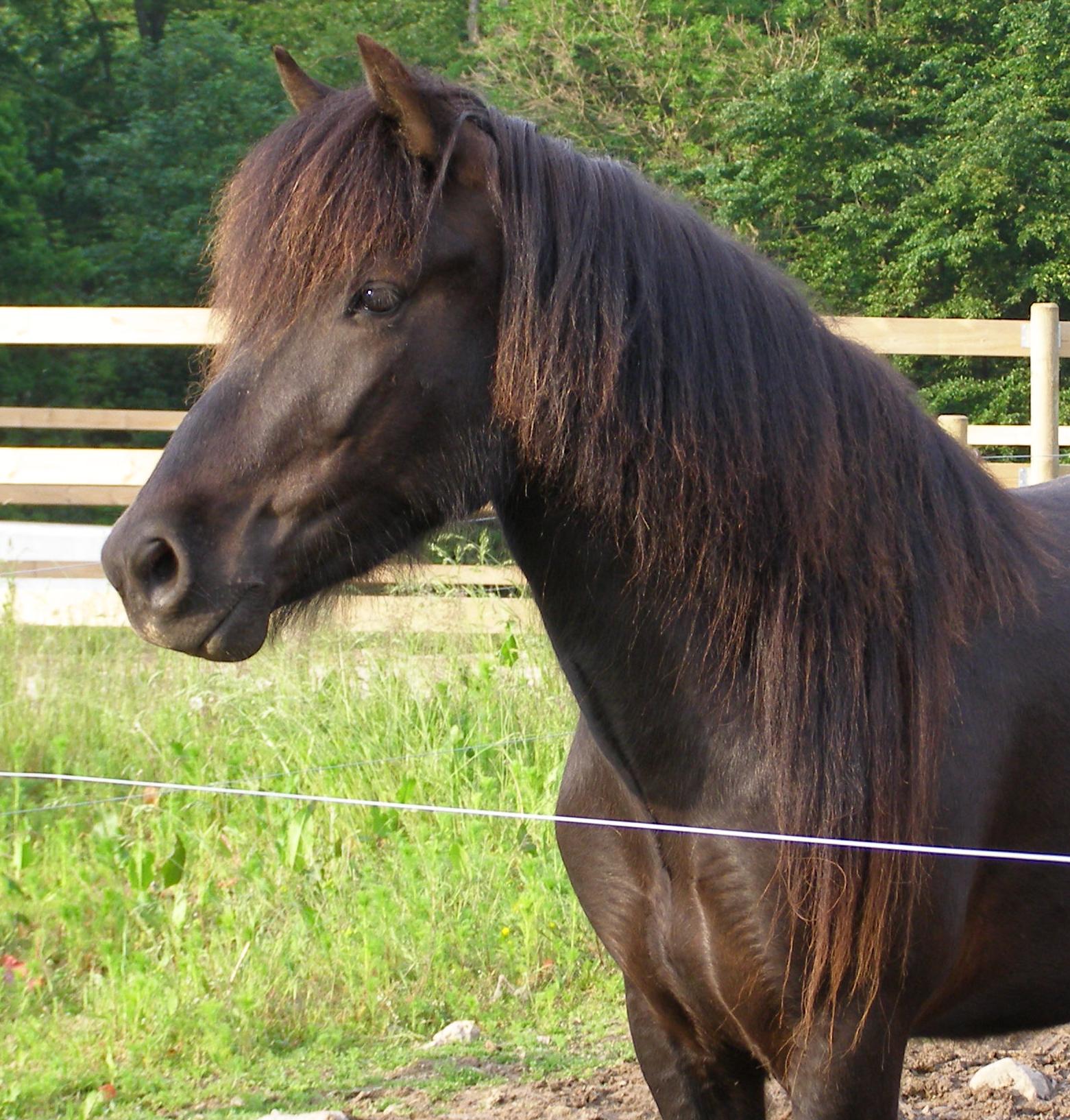 Efridís, 3 år gammel