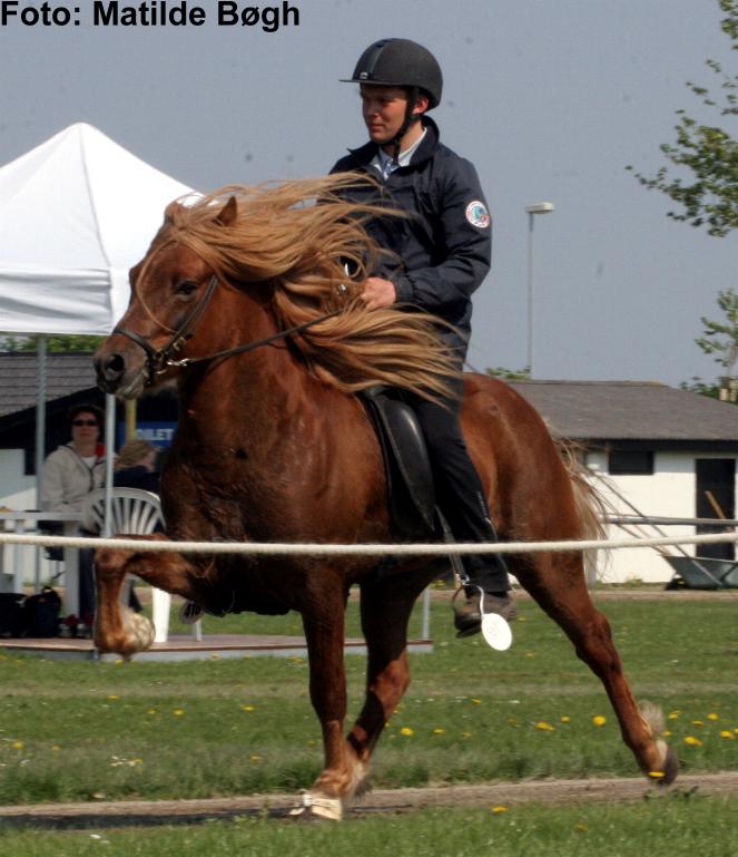 Leiknir og Rasmus ved St. Bededagsstævnet 2006.