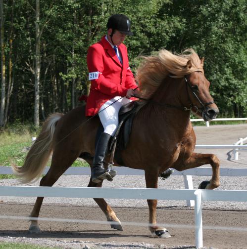 Leiknir ved VM i Sverige, august 2005, redet af Jóhann G. Jóhannsson. Foto: Mikkel Simonsen, fritoelt.dk