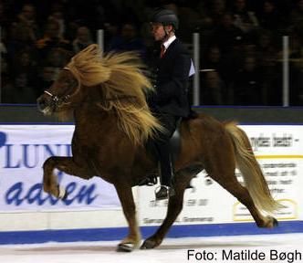 Leiknir ved Istölt 2006 redet af Guðmundur Björgvinsson. Foto Matilde Bøgh.