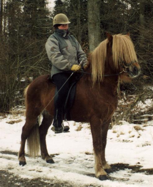 Leiknir ultimo februar 2005 efter sammenlagt ca. 3 måneders træning.