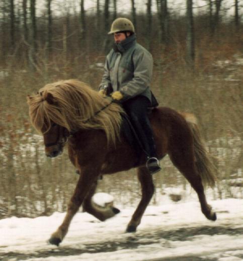 Leiknir ultimo februar 2005 efter sammenlagt ca. 3 måneders træning.