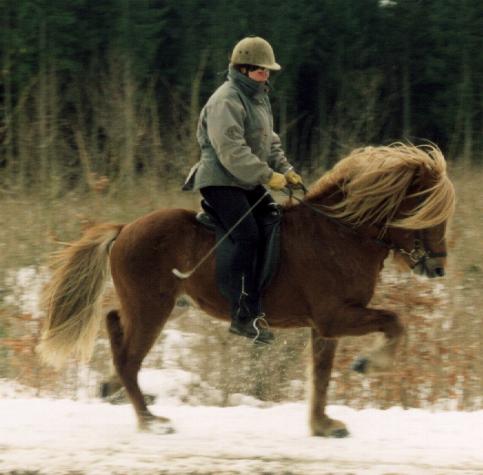 Leiknir ultimo februar 2005 efter sammenlagt ca. 3 måneders træning.