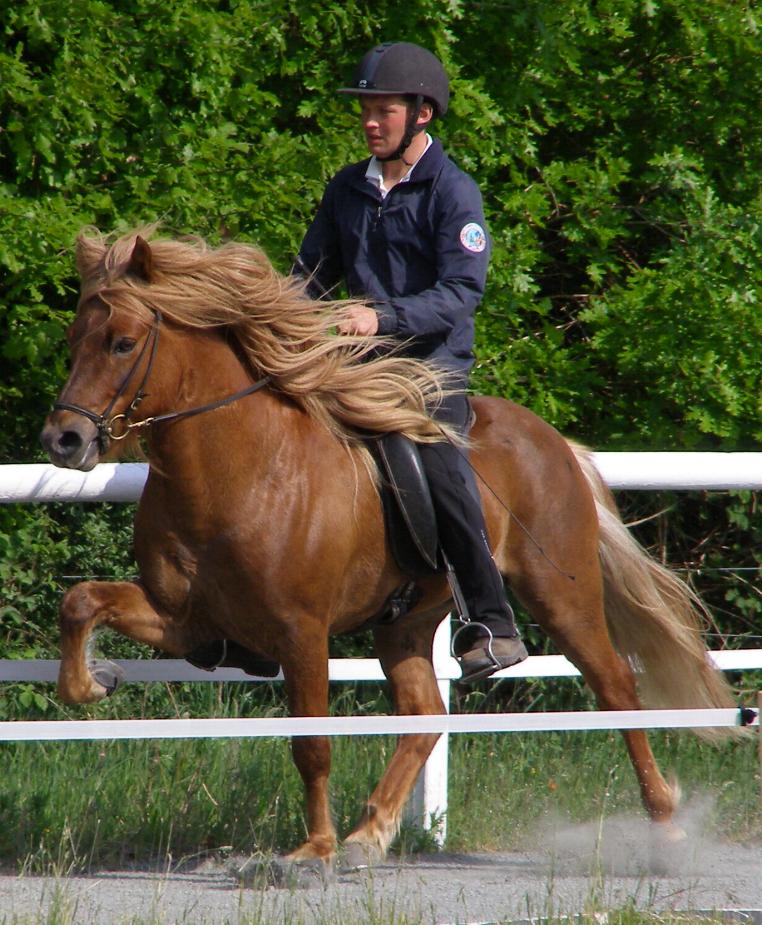 Leiknir ved kåringen på Störtal i maj 2007