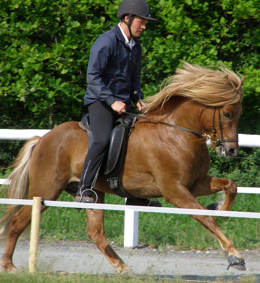 Leiknir ved kåringen på Störtal i maj 2007