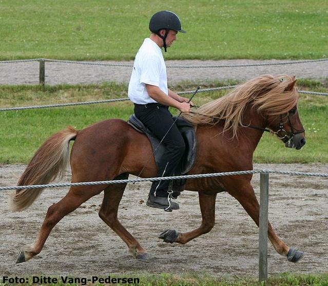 Leiknir ved sin far Darri's afkomskåring i juni 2007 på Hedeland