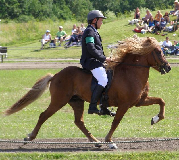 Leiknir ved DM 2007