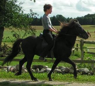 Kalli fra Drejergaarden