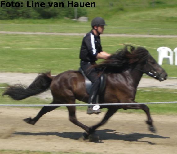 Litla-Mugga fra Sejerø 5 år gammel ved kåringen på Hedeland i juni 2006.