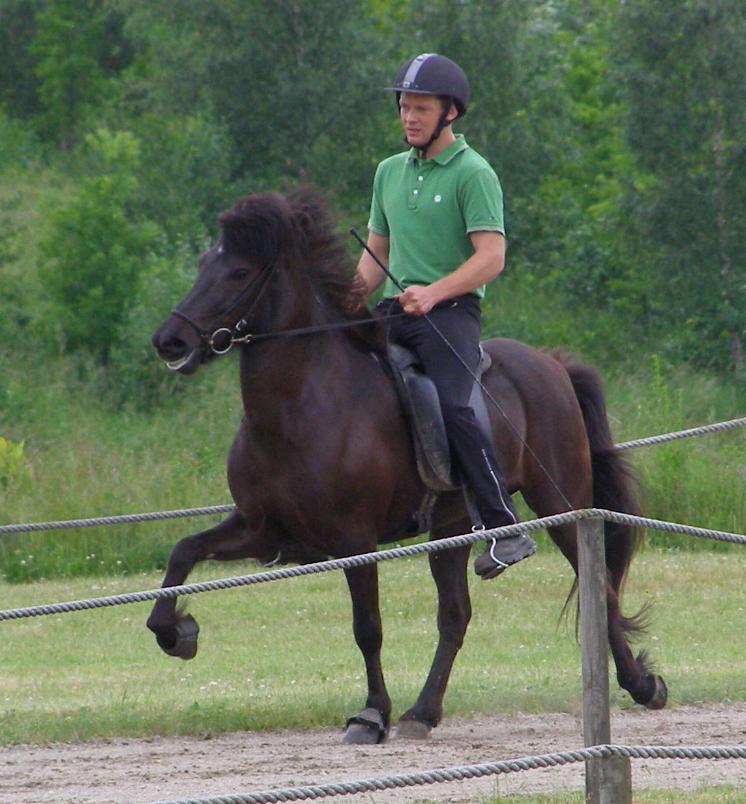 Sara fra Hessellund kåret med 7,88-7,88=7,88 redet af Rasmus Møller Jensen