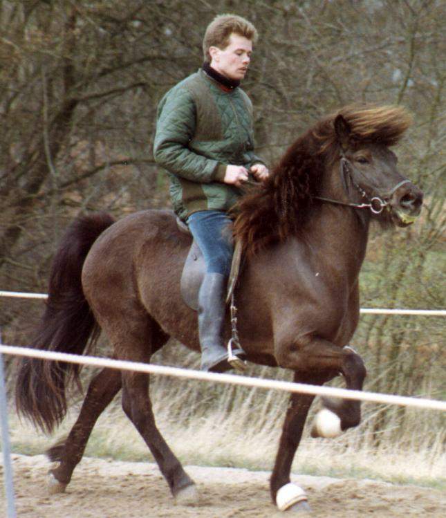 Hilda fra Søtofte ved sin kåring i 1993 redet af Jóhann Skulason.