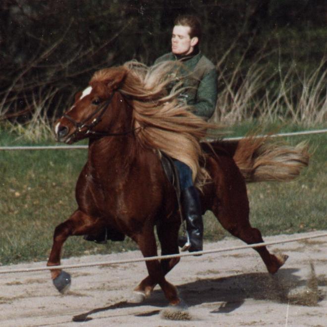 Feykir i pas ved kåringen på Vilhelmsborg 1993. Foto: Christian Soelberg