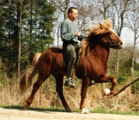 Förull i 1996 redet af Omar Petursson