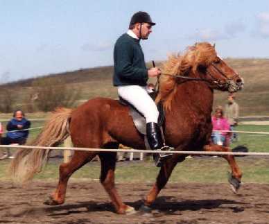 Förull i 1996 redet af Rolf Olsen