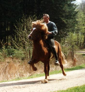 Förull i 1996 redet af Omar Petursson