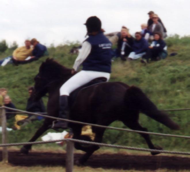 Hrefna fra Søtofte fra en opvisning på Hedeland 2001