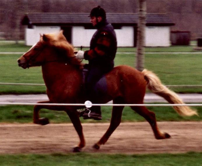 Hylur ved kårigen i Herning april 2001