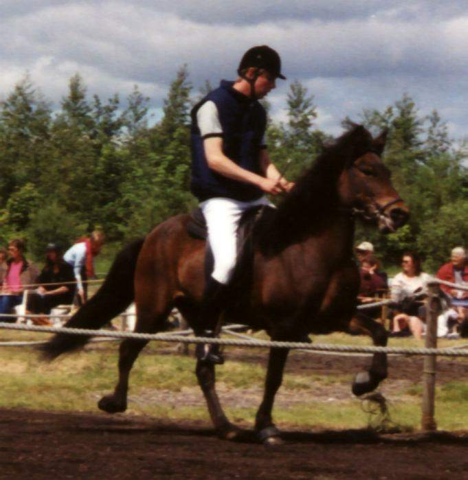 Esja fra Søtofte på Hedeland 2001 redet af Sveinbjörn Sveinbjörnsson