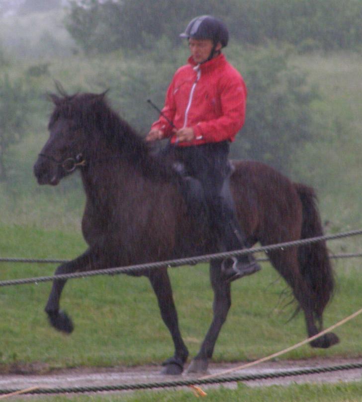 Aradís ved kåringen på Hedeland juni 2007, redet af Rasmus Møller Jensen