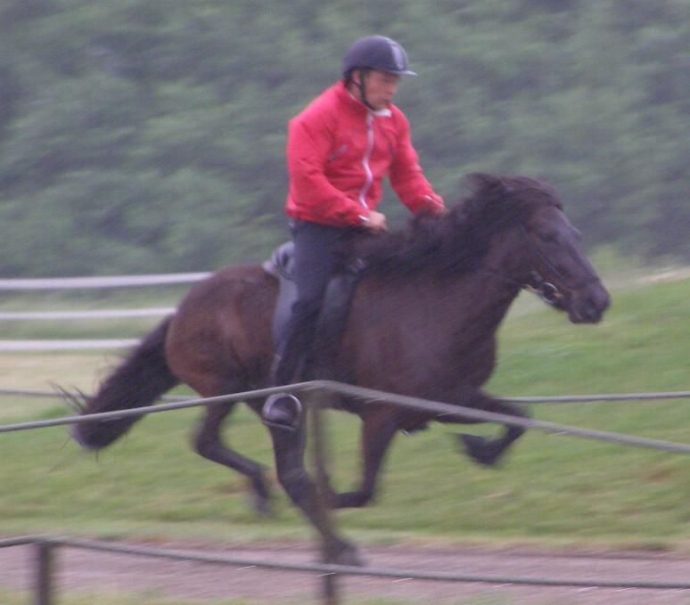 Aradís ved kåringen på Hedeland juni 2007, redet af Rasmus Møller Jensen