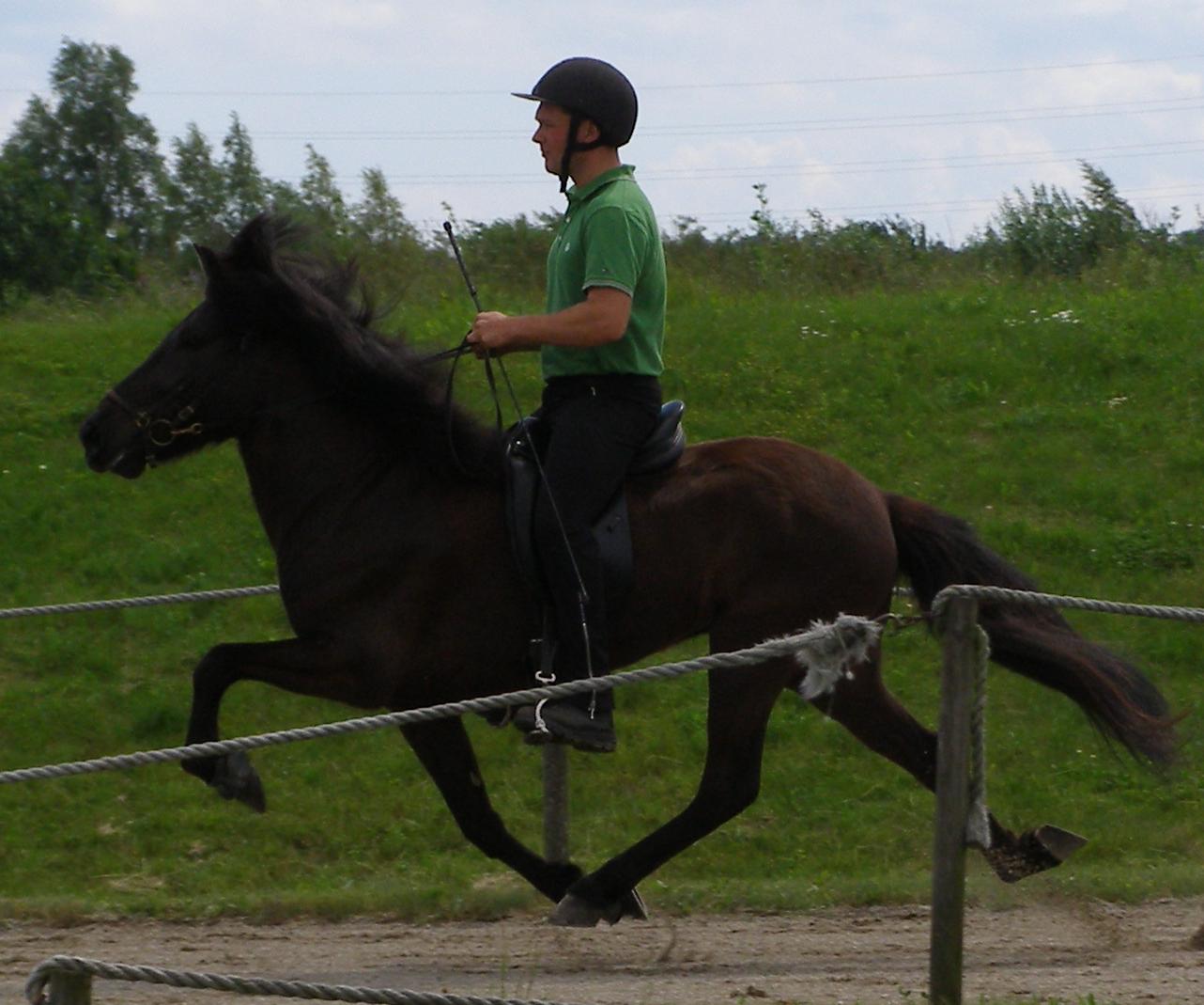 Aradís ved kåringen på Hedeland juni 2007, redet af Rasmus Møller Jensen