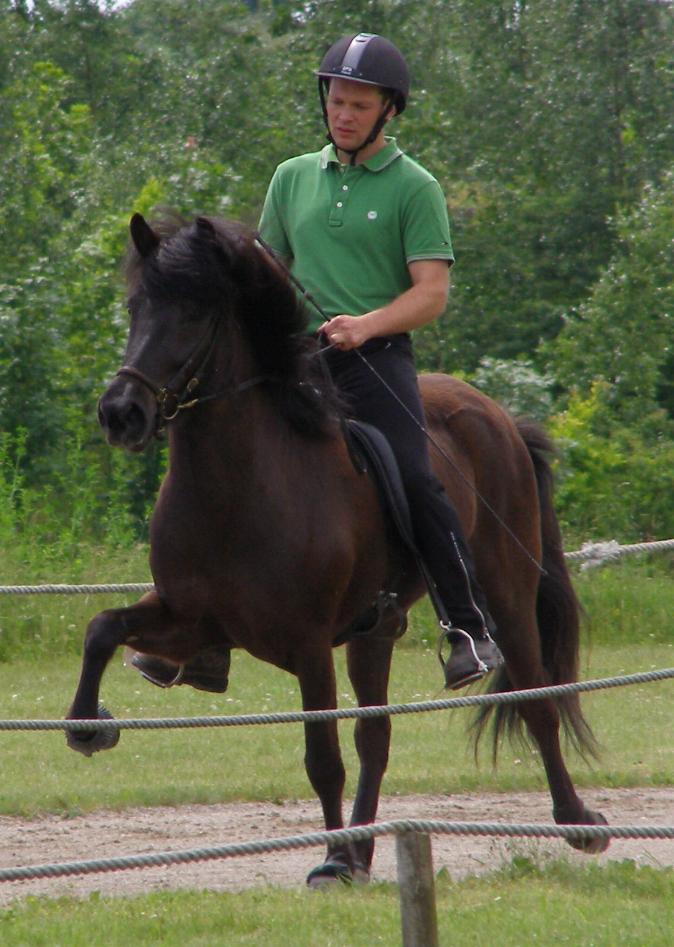 Aradís ved kåringen på Hedeland juni 2007, redet af Rasmus Møller Jensen