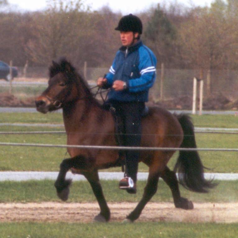 Esja fra Søtofte, 7 år gammel i Herning 2003 redet af Bjarni Daviðsson.