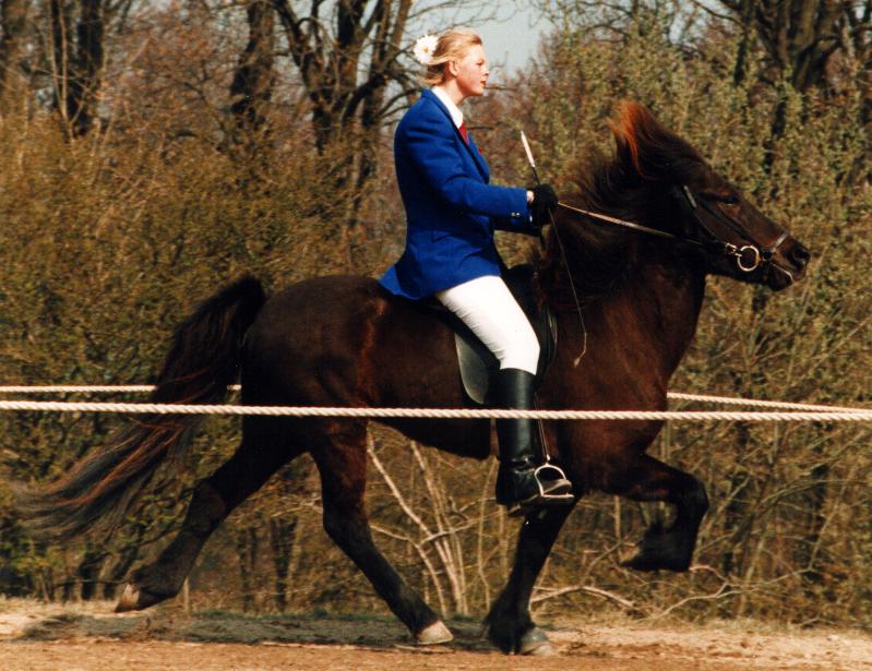 Kolfinna ved sin kring i 1995, redet af Anne Sofie Nielsen.