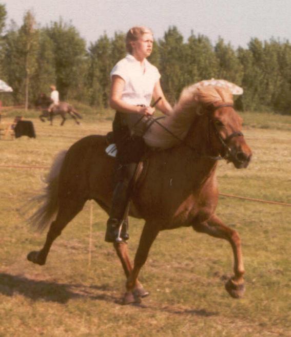 Glófaxa fra Langelandsgården ved Pinsestævnet 1982 redet af Charlotte Thorup Rasmussen.