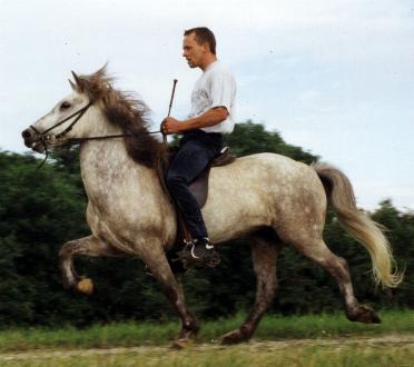 Svala 6 år gammel i 1997, redet af Omar Pétursson