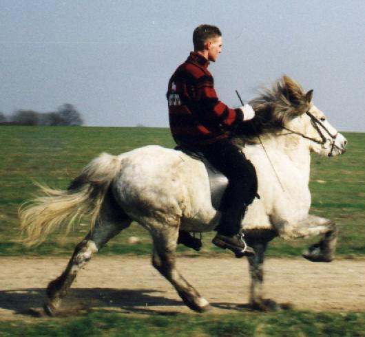 Svala 8 år gammel i 1999, redet af Guðmundur Björgvinsson.