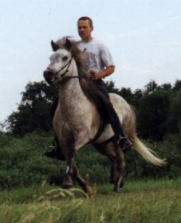 Svala 6 år gammel i 1997, redet af Omar Pétursson