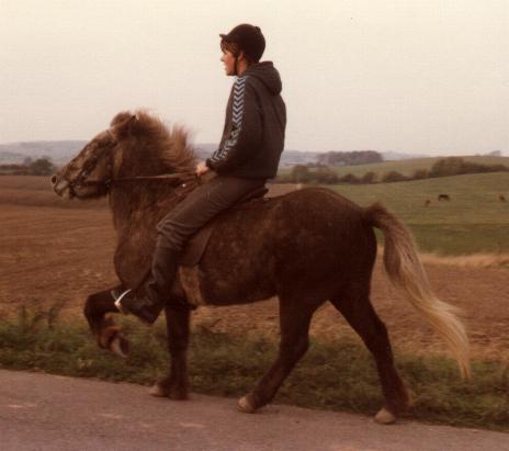 Fengur fra Søtofte, her 5 år gammel i 1984 og redet af undertegnede i bedste islandske bondestil.